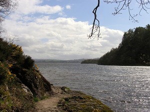 Na brzegu Loch Lomond