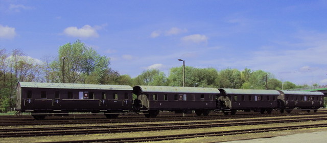 Wolsztyn 20