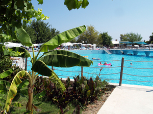 Hotel Daima - Kemer