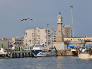 Dsc 1428 - port