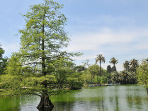 Dsc 1565 Park de La Ciutadella