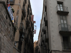 Dsc 1638