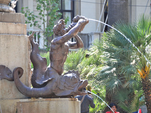 Dsc 1684