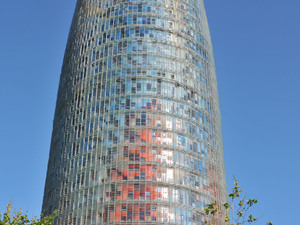 Dsc 2031