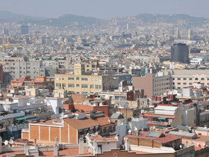 Dsc 2344