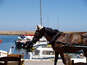 Chania