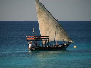 Zanzibar - Autor - Aleksander Kramarz