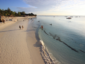 Zanzibar - Autor - Aleksander Kramarz