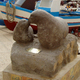 pomnik foki i foczątka
