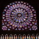 Notre Dame de Paris - rozeta