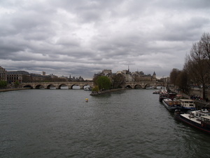 Sekwana - widok na Ille de Cite i Pont Neuf