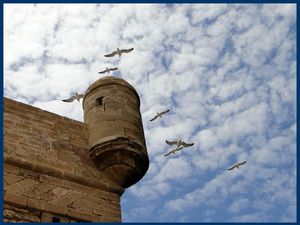 Essaouira