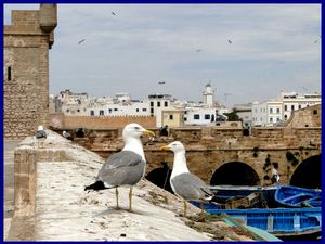 Essaouira