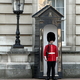 Wartownik przed Pałacem Buckingham