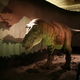 Tyranozaur w Muzeum Historii Naturalnej