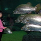 Szanghaj - oceanarium