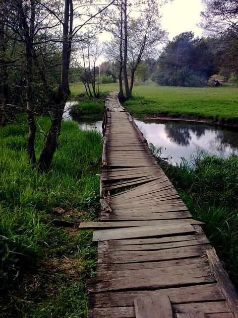 wiosna 2010
