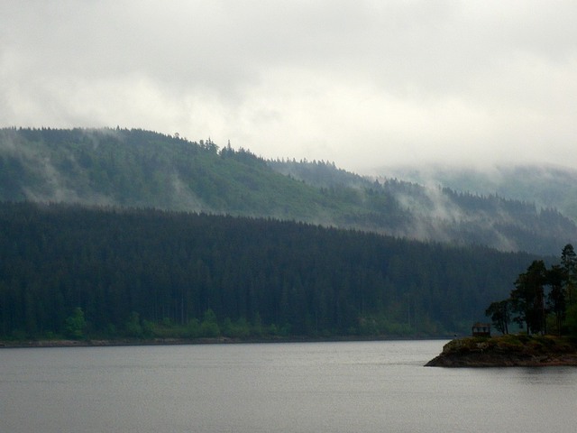 Mgły nad jeziorem Schluchsee