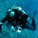 Ciężkie życie podwodnego fotografa