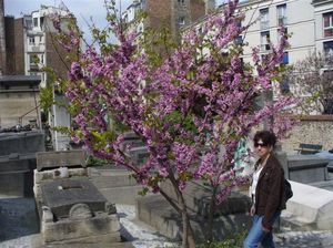 Cmentarzyk na Montmartre 