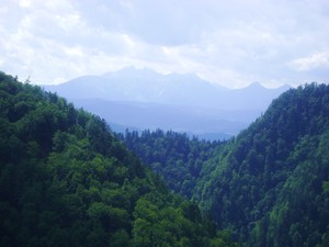 Pieniny