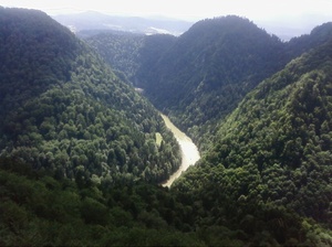 Dunajec