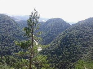 Pieniny