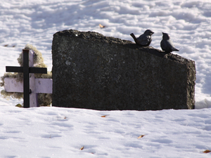 Cmentarz w Sandefjord