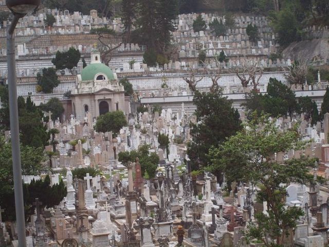 stary cmentarz