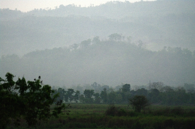 Poranek