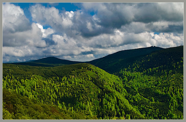 Widok z Palićnika 