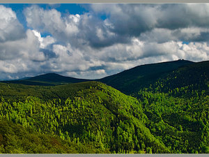 Widok z Palićnika 