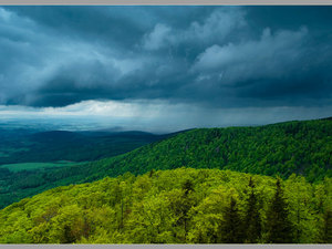 Widok z Palićnika 