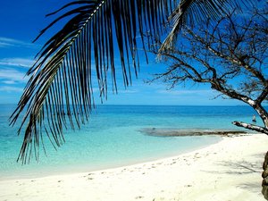 291007 - Malediwy Pod Palma