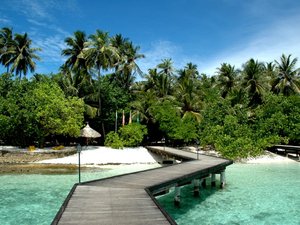 291018 - Malediwy Pod Palma