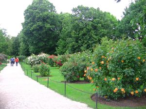 Schönbrunn