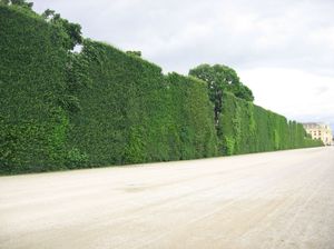 Schönbrunn