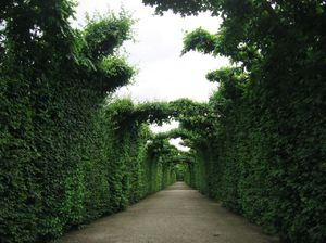 Schönbrunn