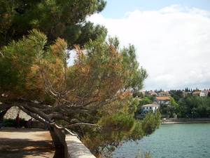 wyspa Krk