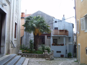 Vrbnik