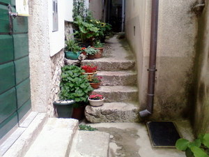 Vrbnik