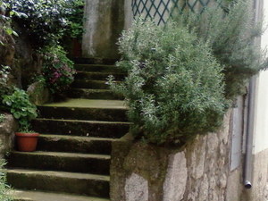 Vrbnik