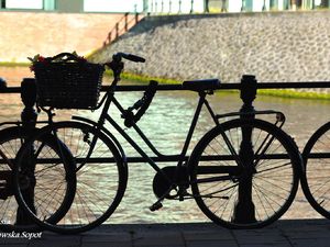 Rower - symbol Amsterdamu.