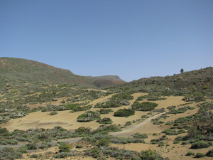 Parque del Teide 
