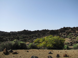 Parque del Teide 
