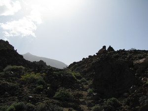 Parque del Teide 