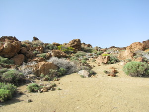 Parque del Teide 