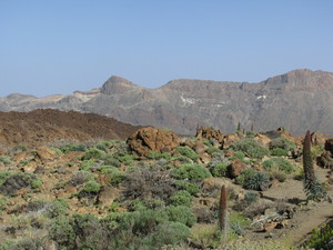 Parque del Teide 