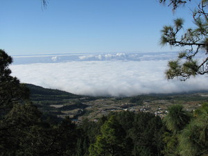 Parque del Teide 