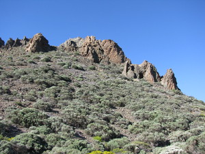 Parque del Teide 